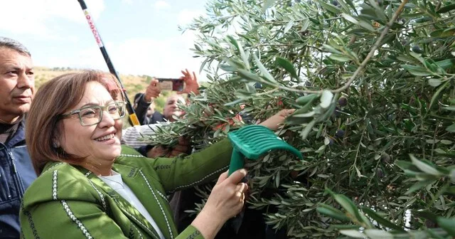 Nizip in 100. yılı 3. Zeytin Festivali yle kutlanıyor Gaziantep Haberleri Habertürk Yerel Haberler