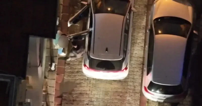 Kadıköy de dron destekli uyuşturucu operasyonu: 2 gözaltı