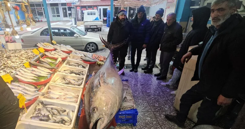 Tezgahta 3 metre uzunluğunda 287 kiloluk dev balık: Kilosu 600 liradan satılacak Sözcü Gazetesi