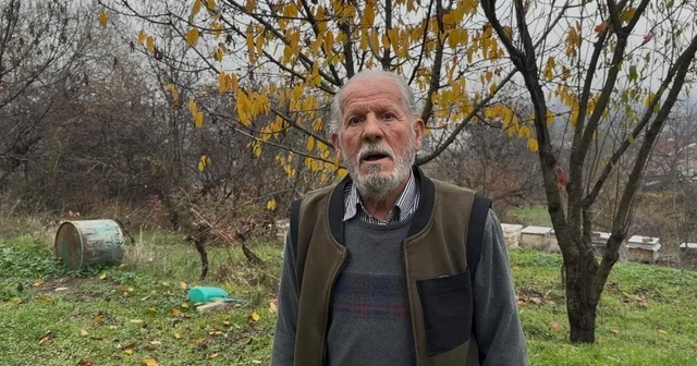 Zirai ilaç yüzünden milyonlarca arısı kovana dönemeden öldü Bursa Haberleri