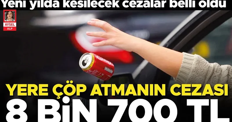 Yere çöp atmanın cezası 8 bin 700 TL