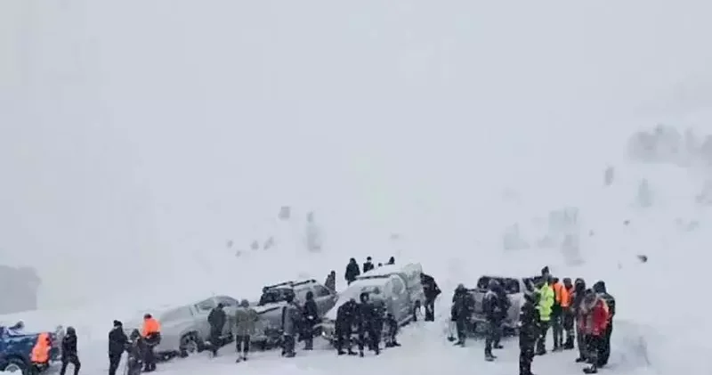 Artvin’de çığ düştü; kar altında kalan 3 çobandan 1’i öldü, 2’si aranıyor