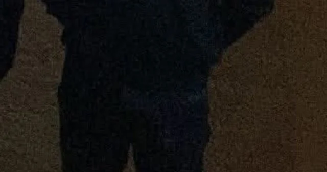 Ağaca çarpan otomobil ikiye bölündü; 1 ölü (2) Tokat Haberleri