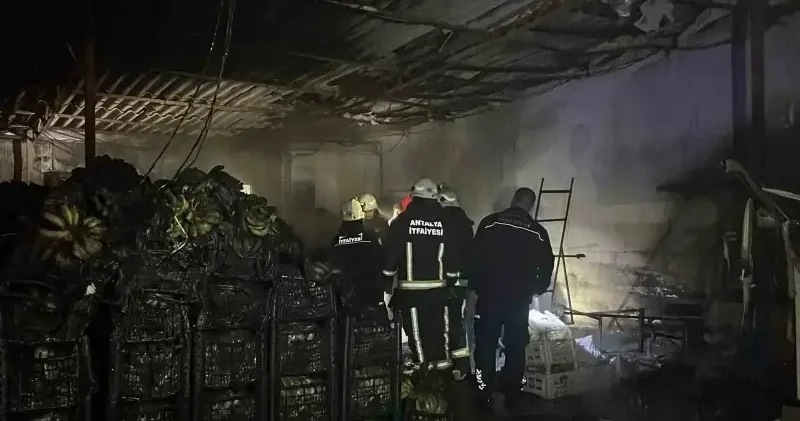 Tesiste çıkan yangın muzları küle çevirdi Antalya Haberleri