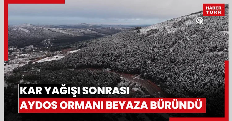 Kar yağışı sonrası Aydos Ormanı beyaza büründü