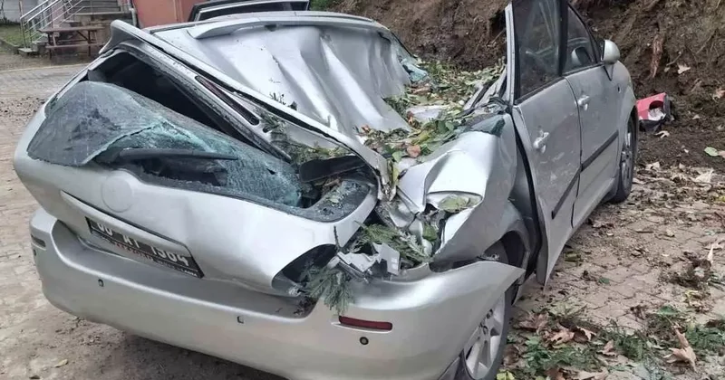Giresun’da devrilen ağaç bir aracı kullanılamaz hale getirdi