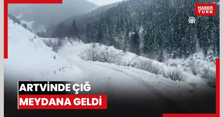 Artvinde çığ meydana geldi