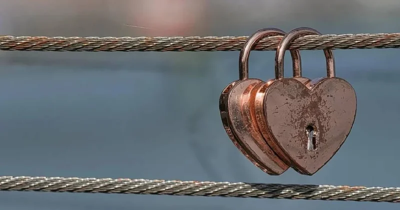 Ömür boyu tek eşli yaşayan hayvanlar: Bilim yeni hayvanları açıkladı Sözcü Gazetesi