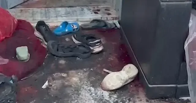 DEAŞ’lı teröristlerin çocukları kendine kalkan ettiği hücre evi ilk kez görüntülendi VİDEO İZLE