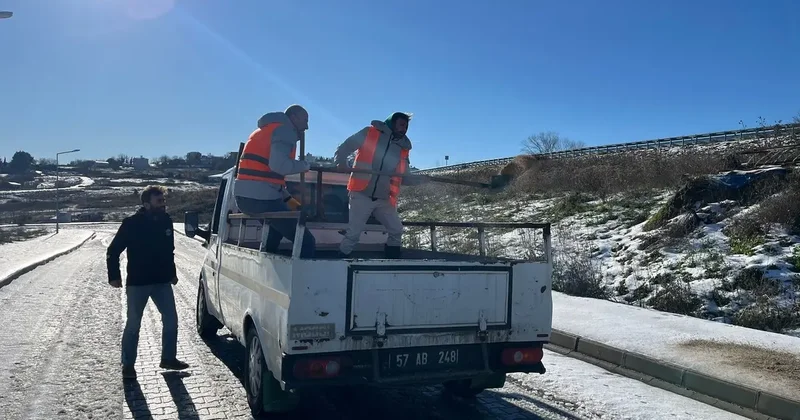 Sinop ta kürekli tuzlama çalışması