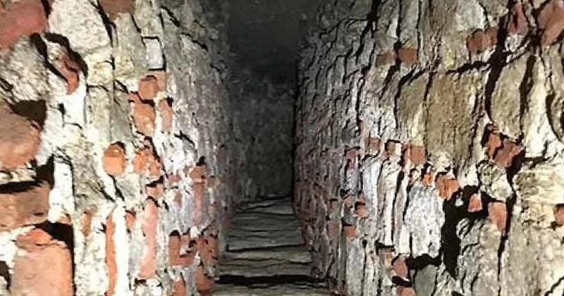 Kaya içerisinde gizemli tüneller: Bilinmeyen bir yaratık keşfedildi Sözcü Gazetesi